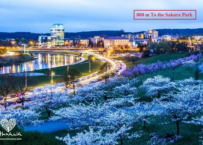 River To The City - Studio 8 Apartment